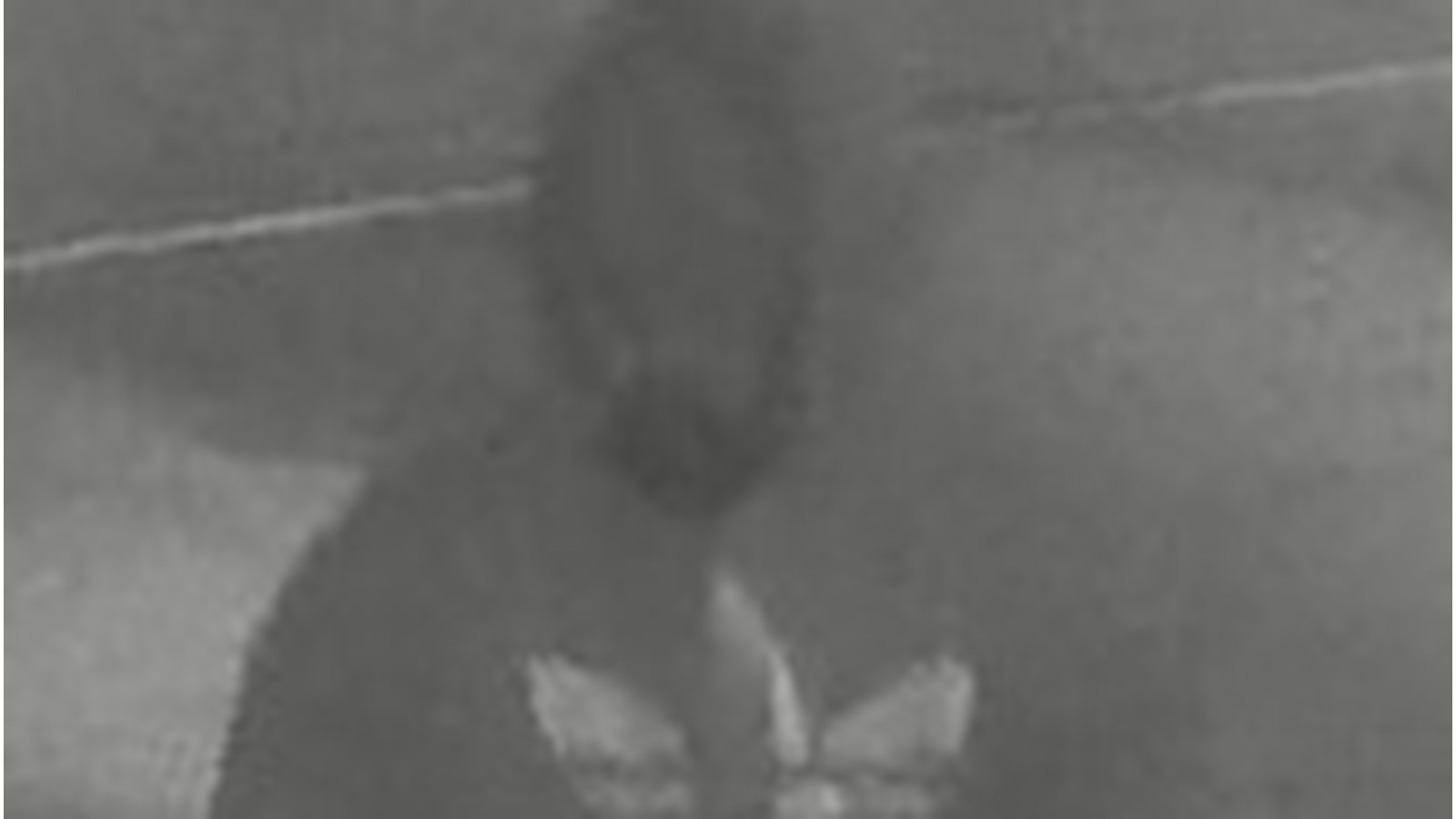 Le premier suspect est un homme de grandeur moyenne et de stature athlétique, il a une démarche boitillante. Il portait un chandail à capuchon foncé et des espadrilles noires.