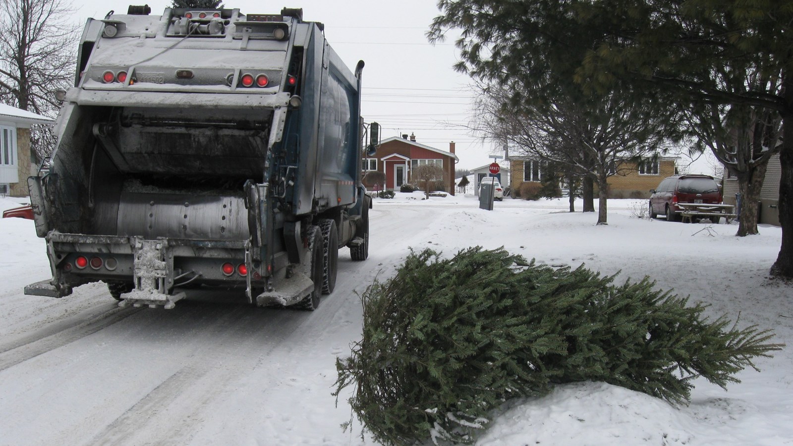 Offrez une seconde vie à votre arbre ce jeudi à Salaberry-de-Valleyfield
