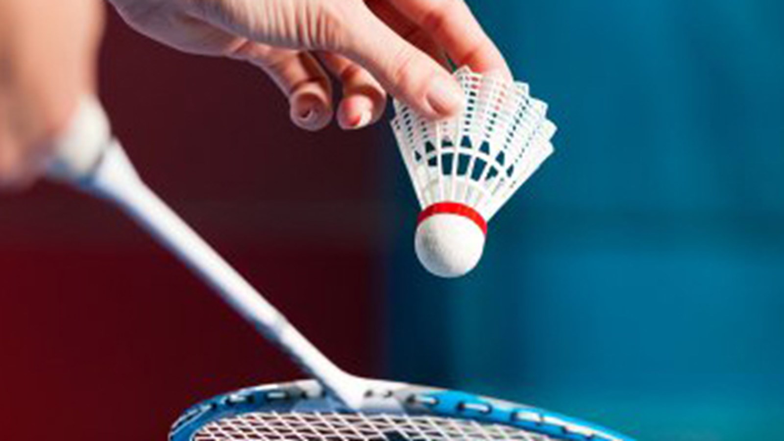 À terme, le Complexe sportif abriterait deux gymnases double pouvant accueillir huit terrains de badminton.