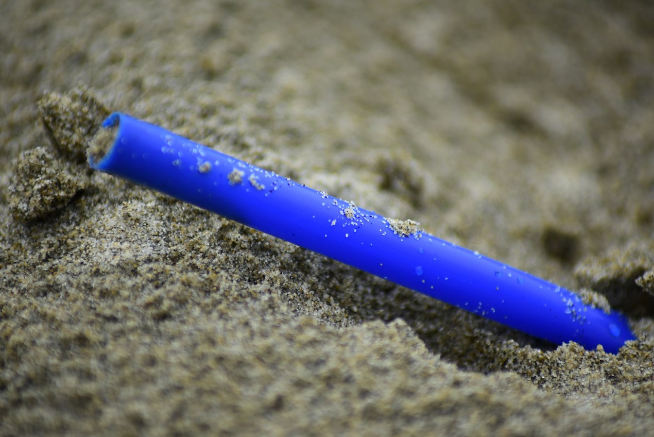  « Nous sommes plus déterminés que jamais à agir en interdisant les plastiques nocifs à usage unique comme nous l’avons promis » - Peter Schiefke
