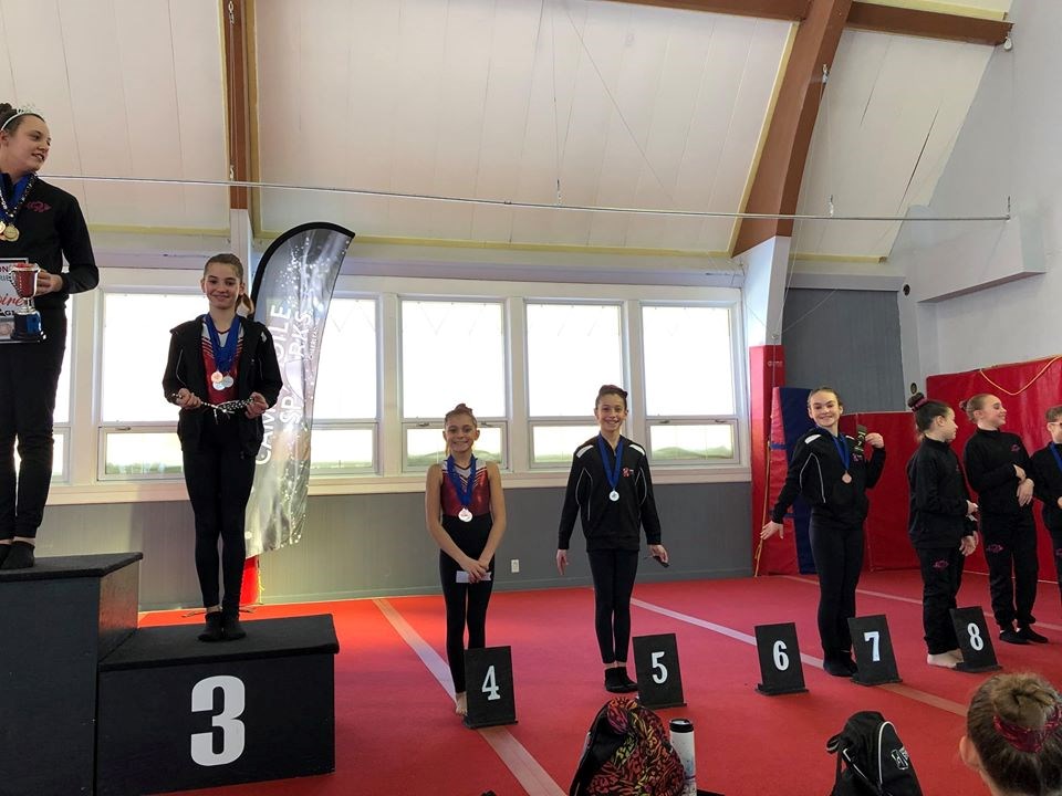 17 athlètes de Gymini raflent tout à Salaberry-De-Valleyfield