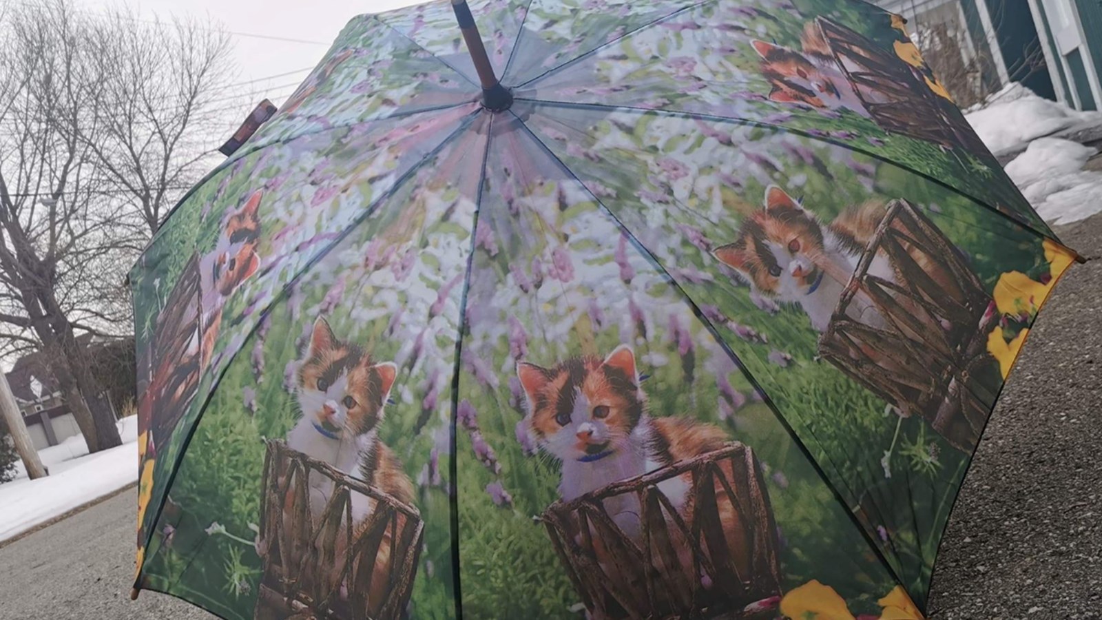 Dans la nuit de jeudi à vendredi matin, la pluie pourrait se changer en verglas alors que le mercure frôlera le point de congélation.