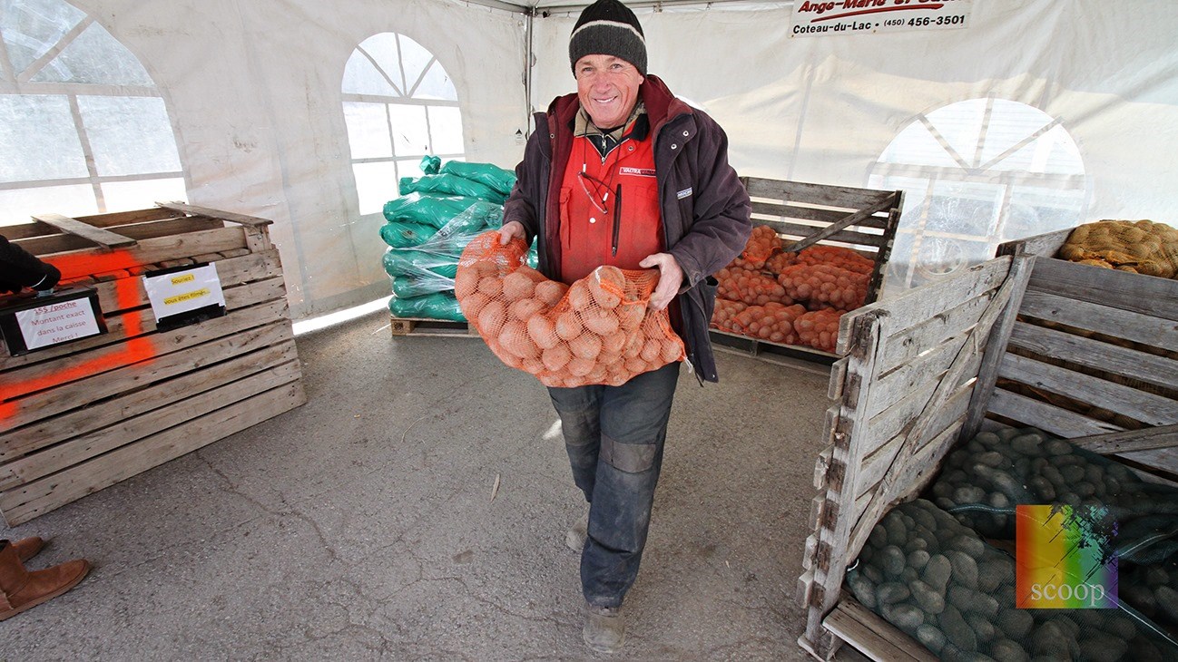 Des patates locales pour nos gens d'ici