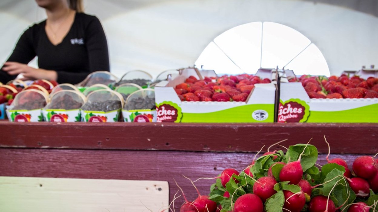 Sainte-Martine annule à contrecoeur sa Fête des Moissons