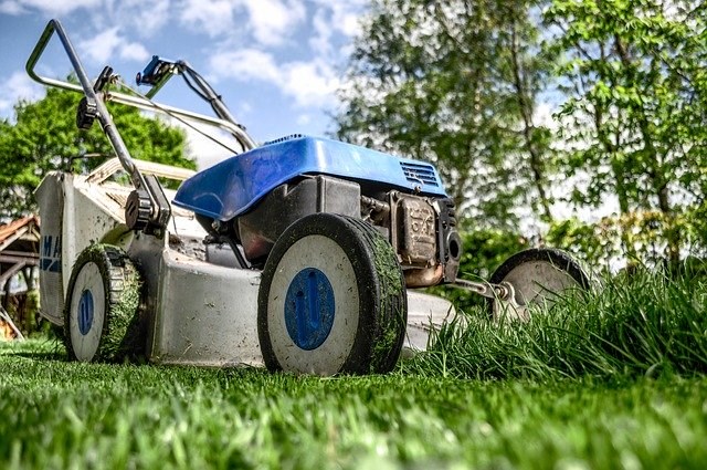 La meilleure tondeuse pour son jardin : une étude estivale