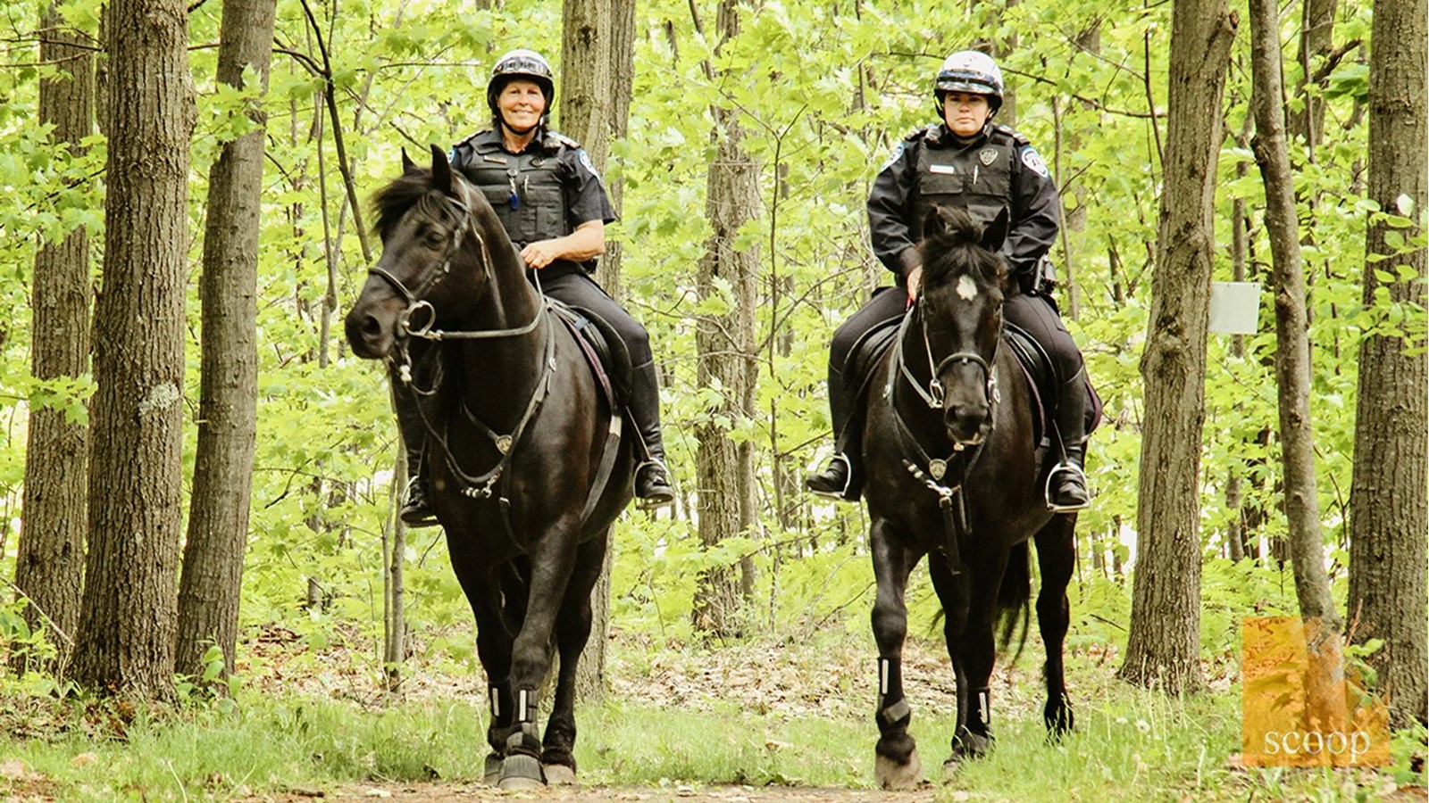 Des chevaux pour informer et sensibiliser les amateurs de plein air à Saint-Lazare 