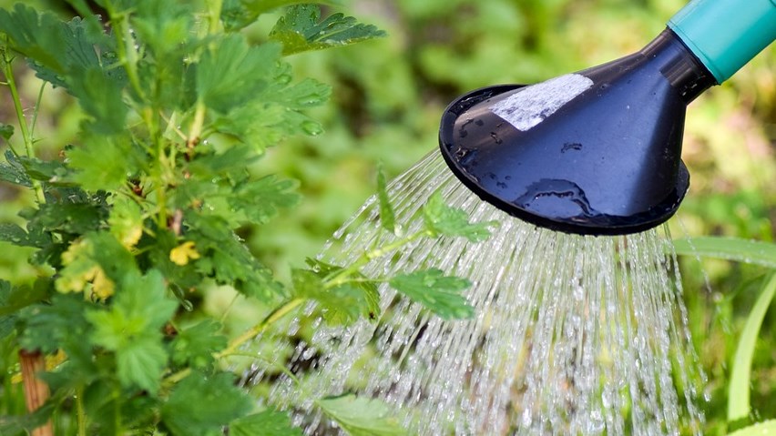 Interdiction d'usage de l'eau à l'extérieur en vigueur 