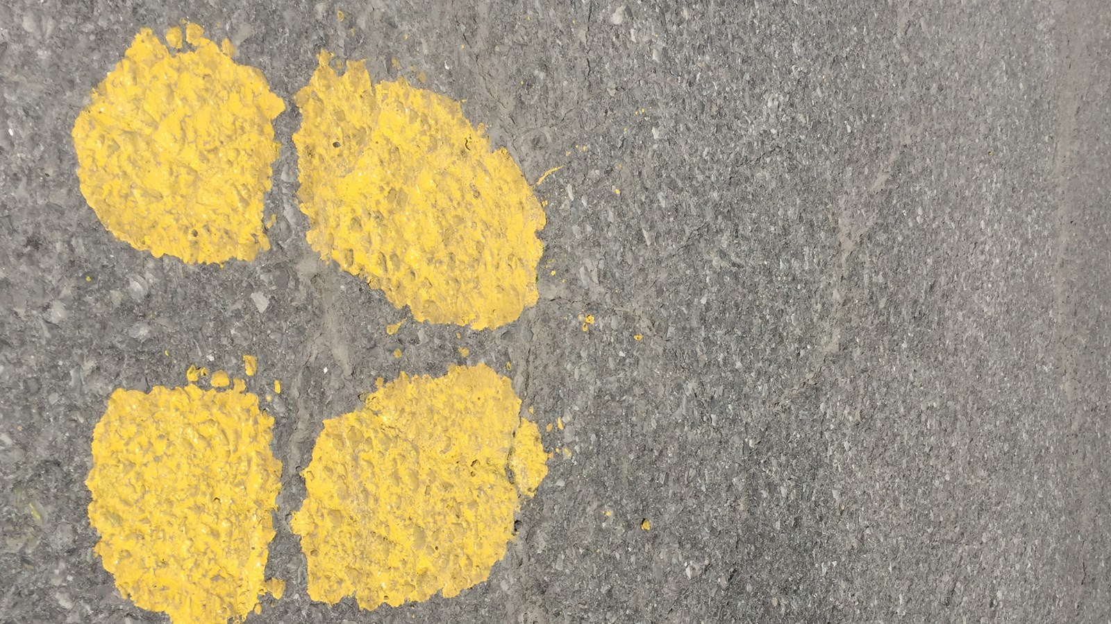 Les visiteurs devront suivre un parcours à sens unique indiqué par des pas jaunes au sol.
