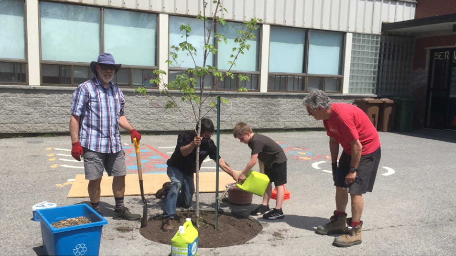 Cinq arbres plantés à l’école primaire Sacré-Coeur de Sainte-Martine
