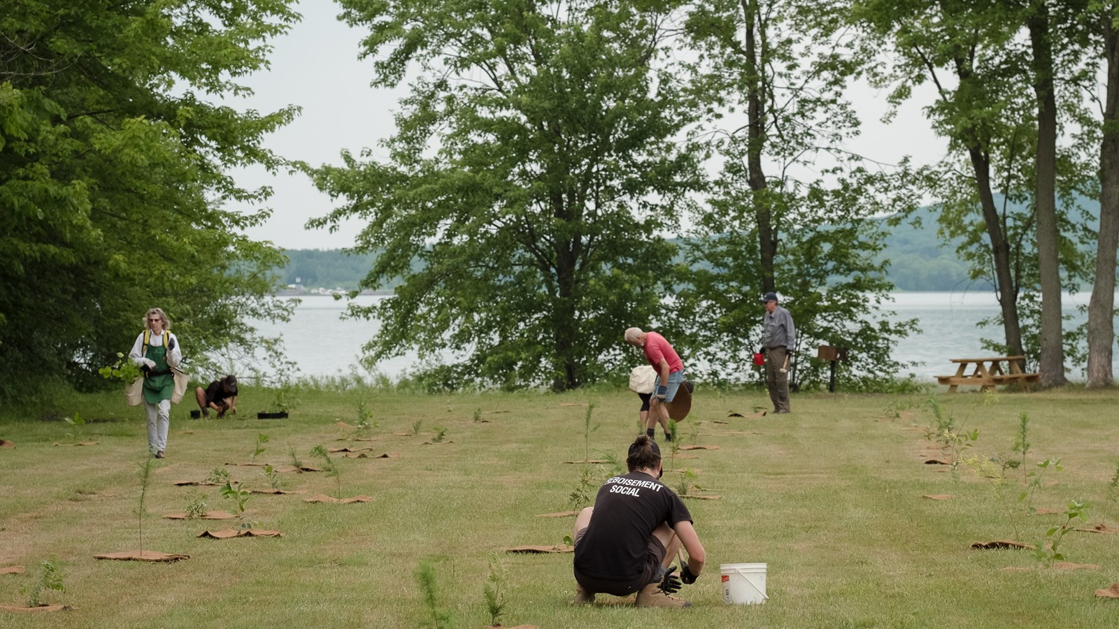 Les citoyens plantent 750 arbres et arbustes au Parc Thompson de Hudson 