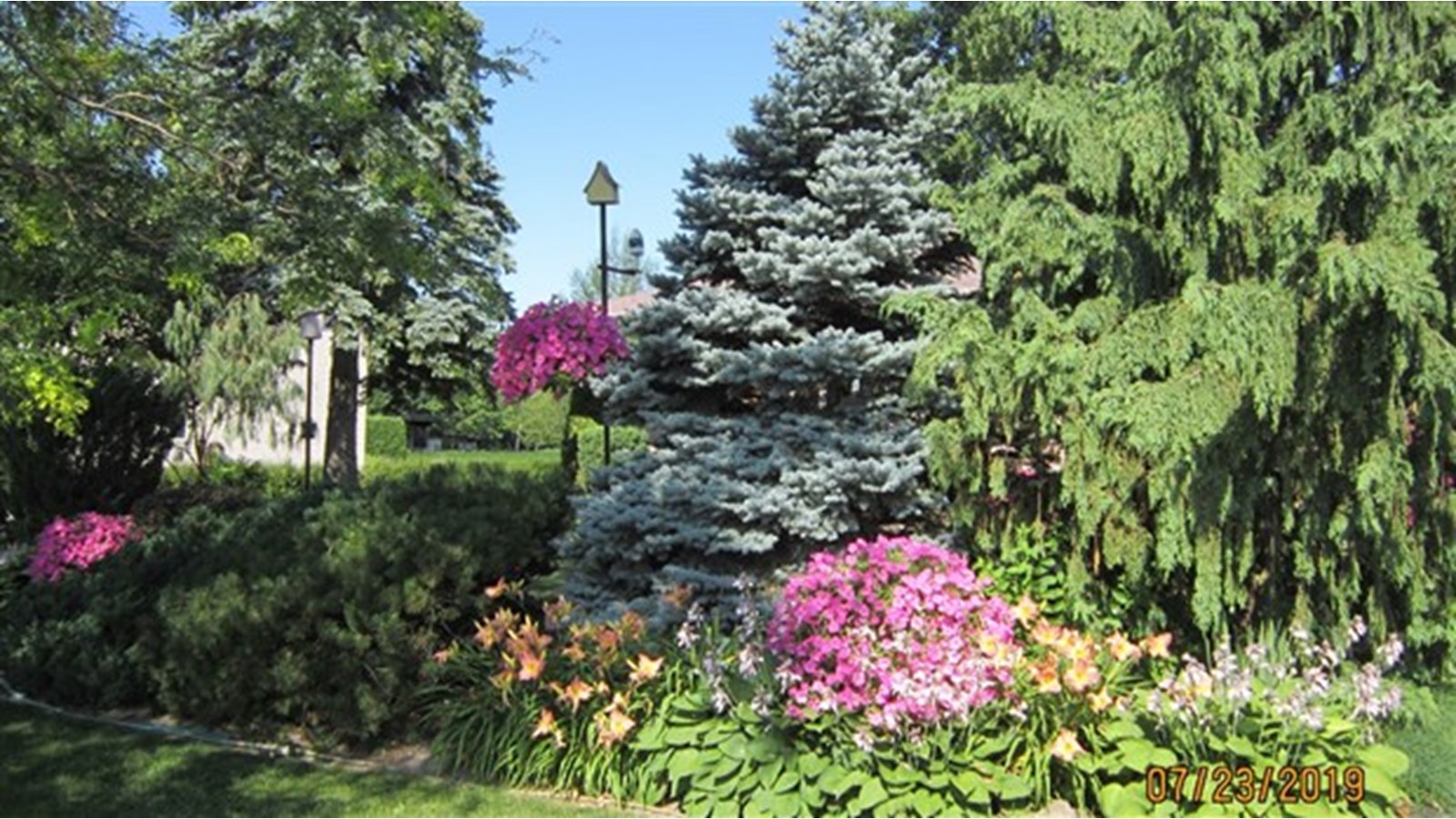 En 2019, c'est la cour avant de Carmen Parent qui a remporté le premier prix du Concours Jardins Fleuris.