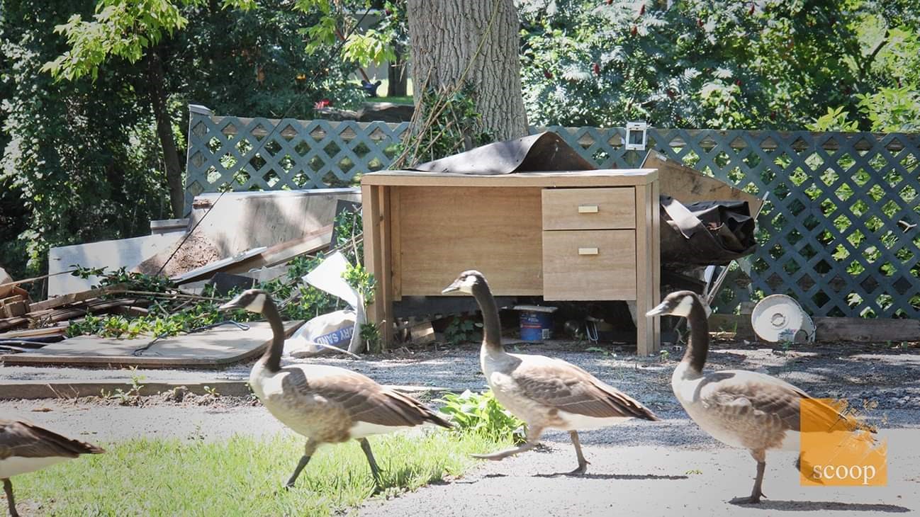 Un site de camping laissé à l’abandon à Coteau-du-Lac