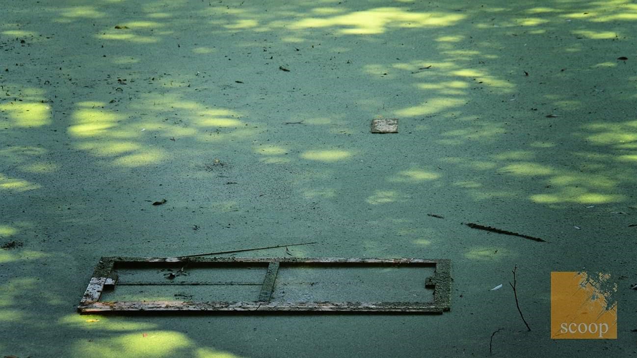 Un site de camping laissé à l’abandon à Coteau-du-Lac