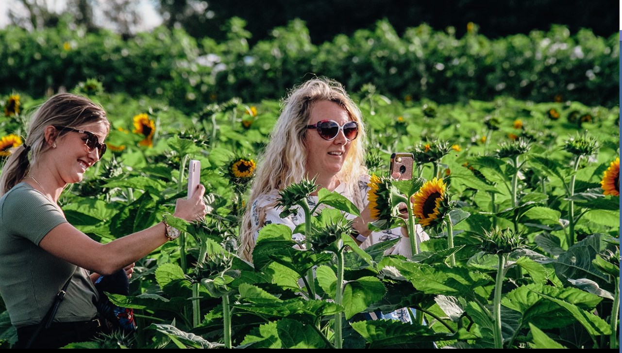 Domaine La Belle: l’arrêt incontournable à faire cet automne dans Vaudreuil-Soulanges