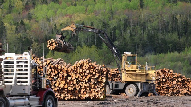 Décision de l’OMC sur le bois d’œuvre : le Bloc Québécois se réjouit à son tour