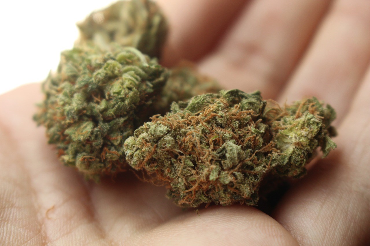 Saisie de 50 kg de cannabis à Saint-Zotique