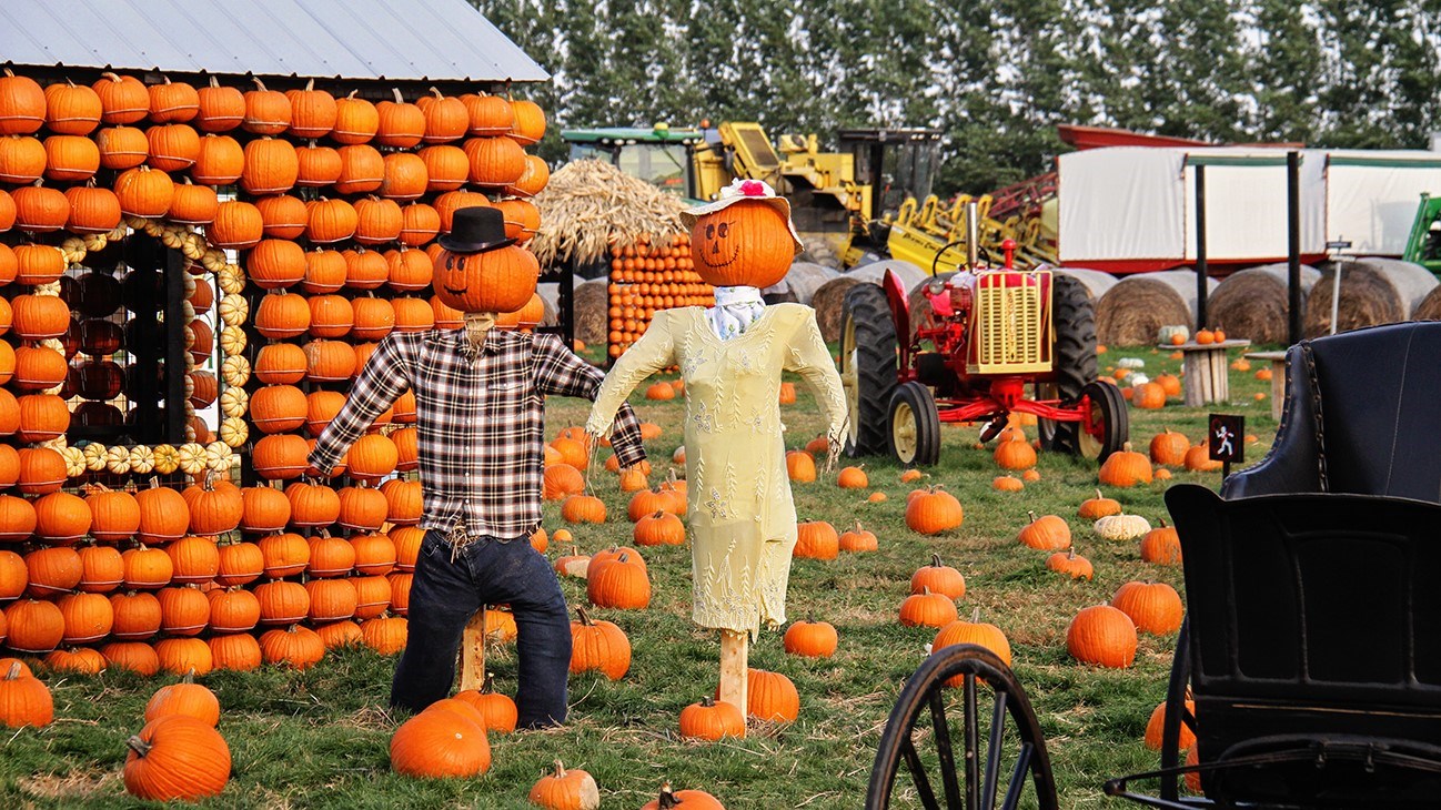 Captez-nous en photos les couleurs de Vaudreuil-Soulanges