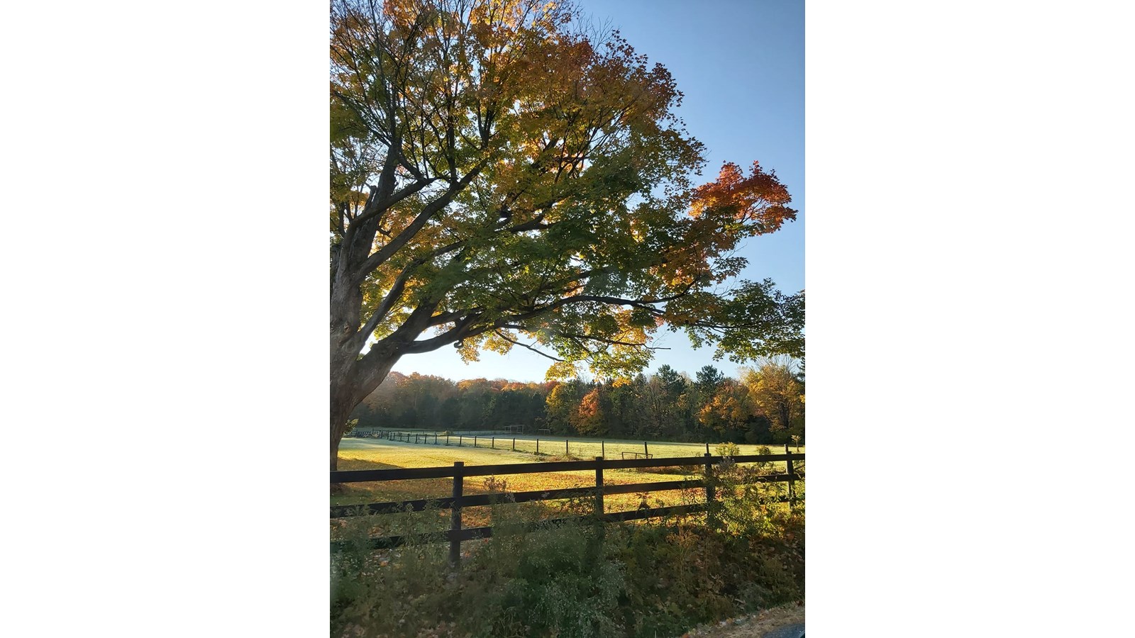 Partagez-nous vos photos des couleurs de Vaudreuil-Soulanges - Galerie 4
