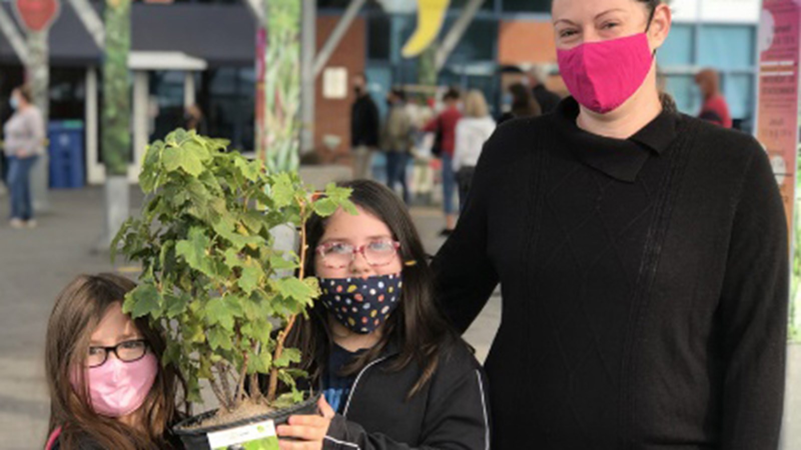 160 arbres et arbustes distribués aux citoyens de Salaberry-de-Valleyfield