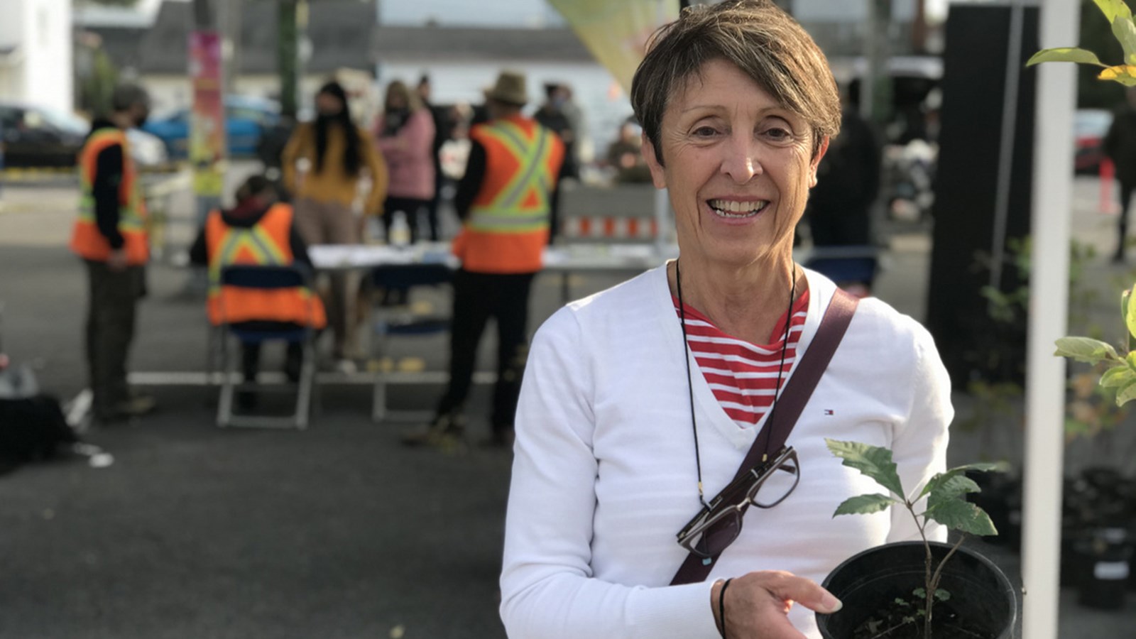 160 arbres et arbustes distribués aux citoyens de Salaberry-de-Valleyfield