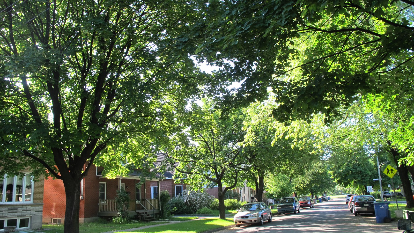 Salaberry-de-Valleyfield a planté près de 450 arbres en 2020