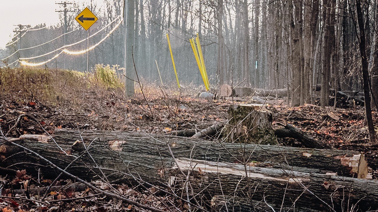 Hydro-Québec laisse un paysage désolant dans la montagne de Rigaud