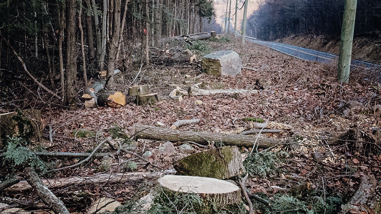 Hydro-Québec laisse un paysage désolant dans la montagne de Rigaud
