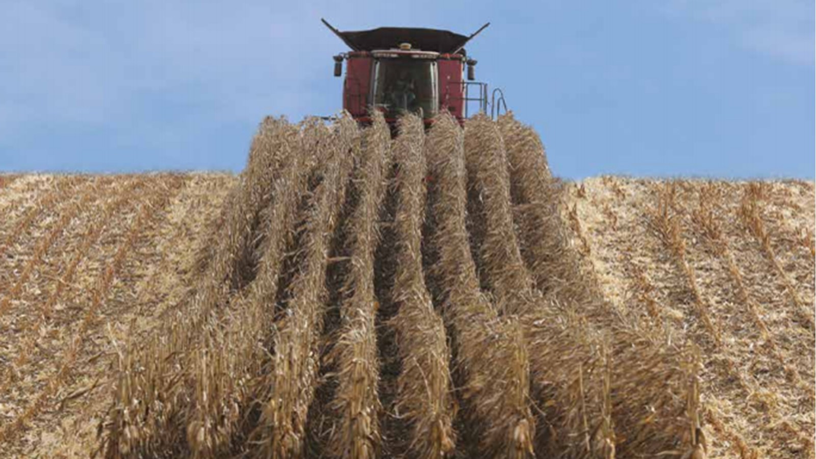En septembre, c'est l'agriculture qui est mise à l'avant-scène