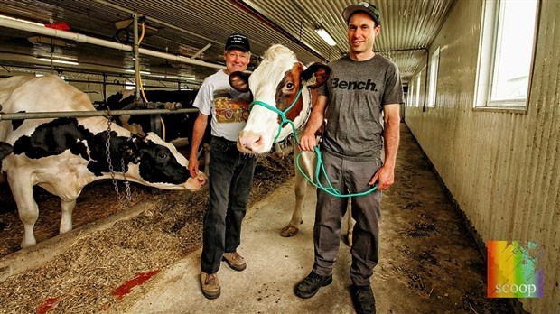 Une très grande distinction pour des producteurs de lait de Saint-Polycarpe