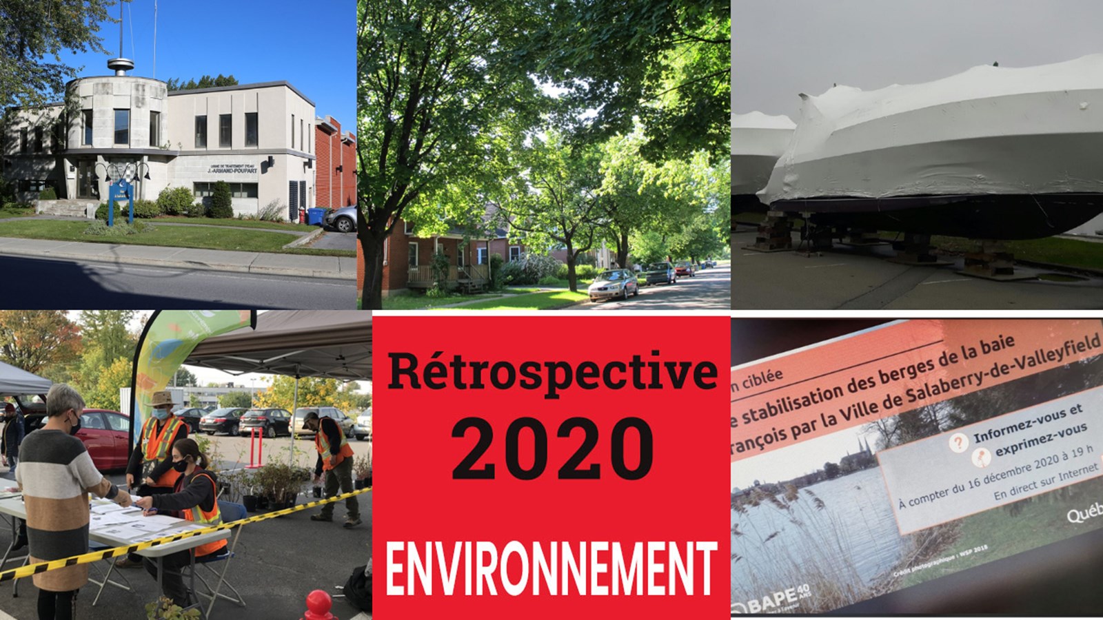 Retour sur l'actualité environnementale de 2020