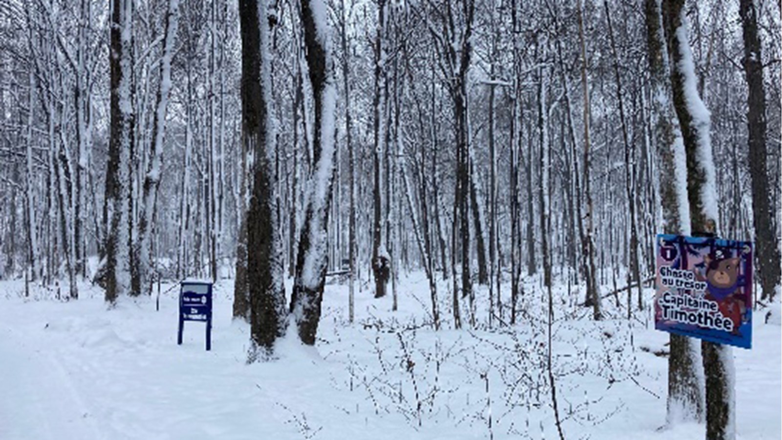 Une chasse aux trésors au Parc régional des Ïles-de-Saint-Timothée