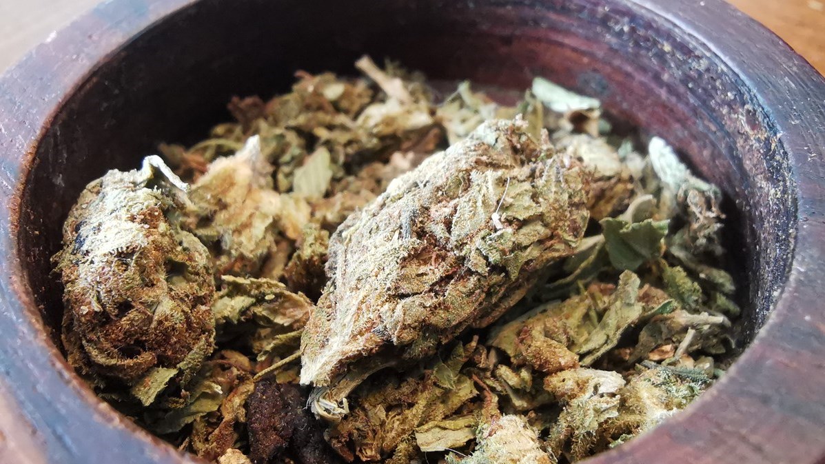 Le cannabis et les adolescents : Pourquoi tourner autour du pot