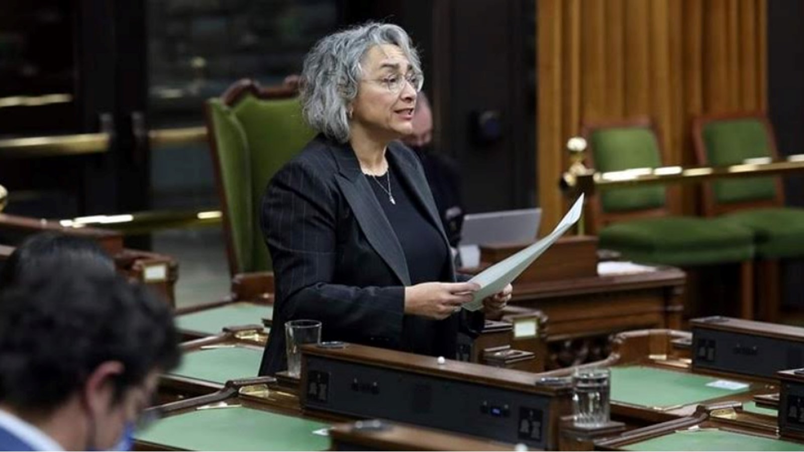Claude DeBellefeuille dépose le projet de loi Émilie Sansfaçon