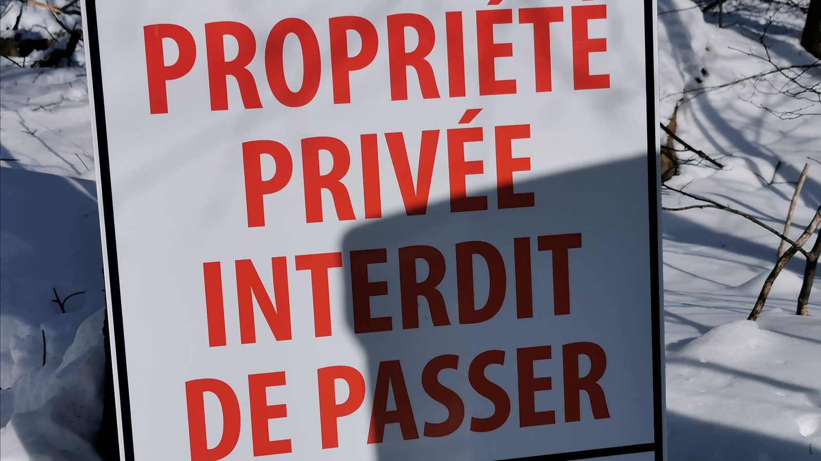 Boisé voué à la construction résidentielle: les citoyens demandent du temps