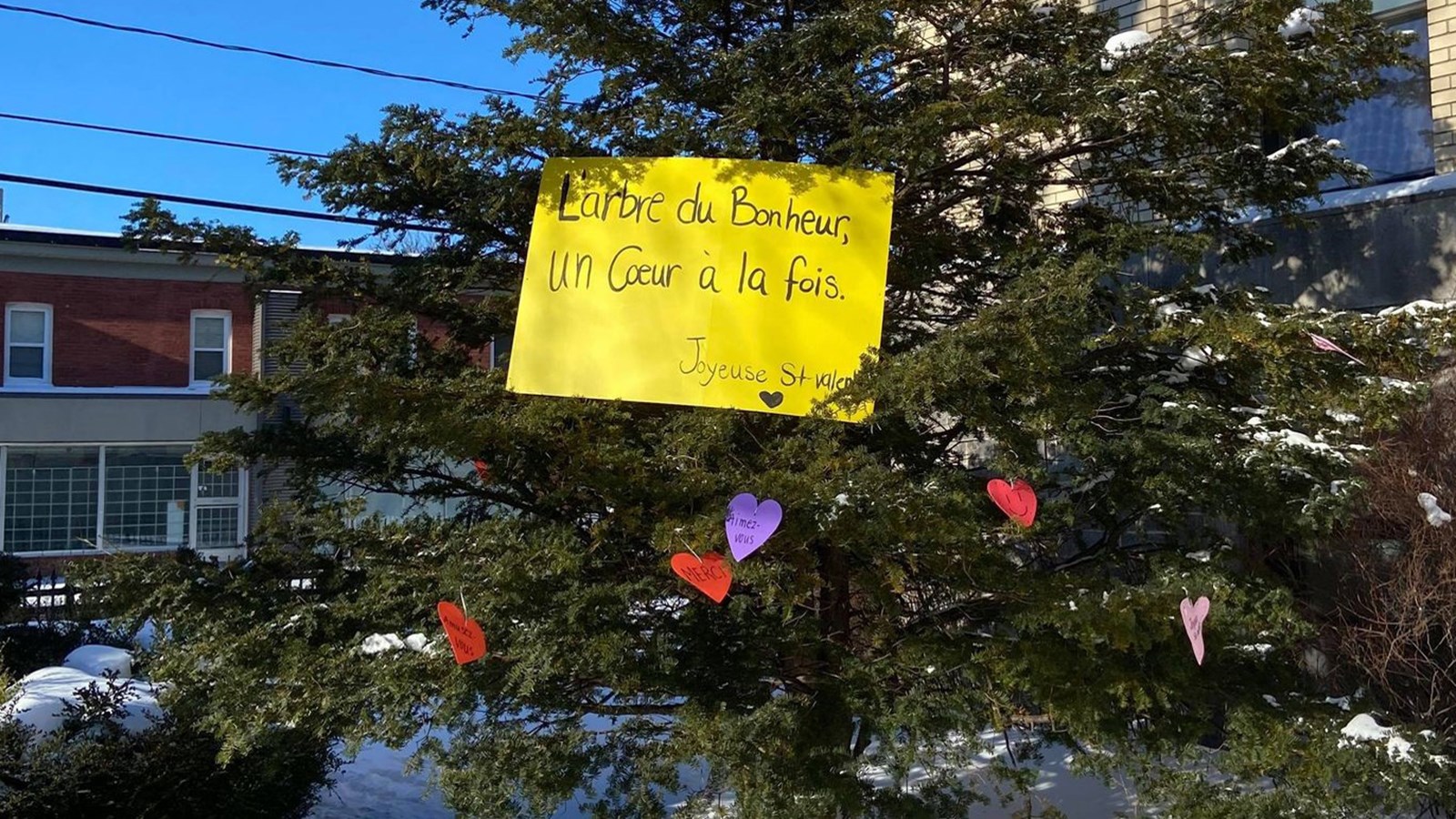 Un arbre du bonheur au CHSLD Docteur Aimé-Leduc