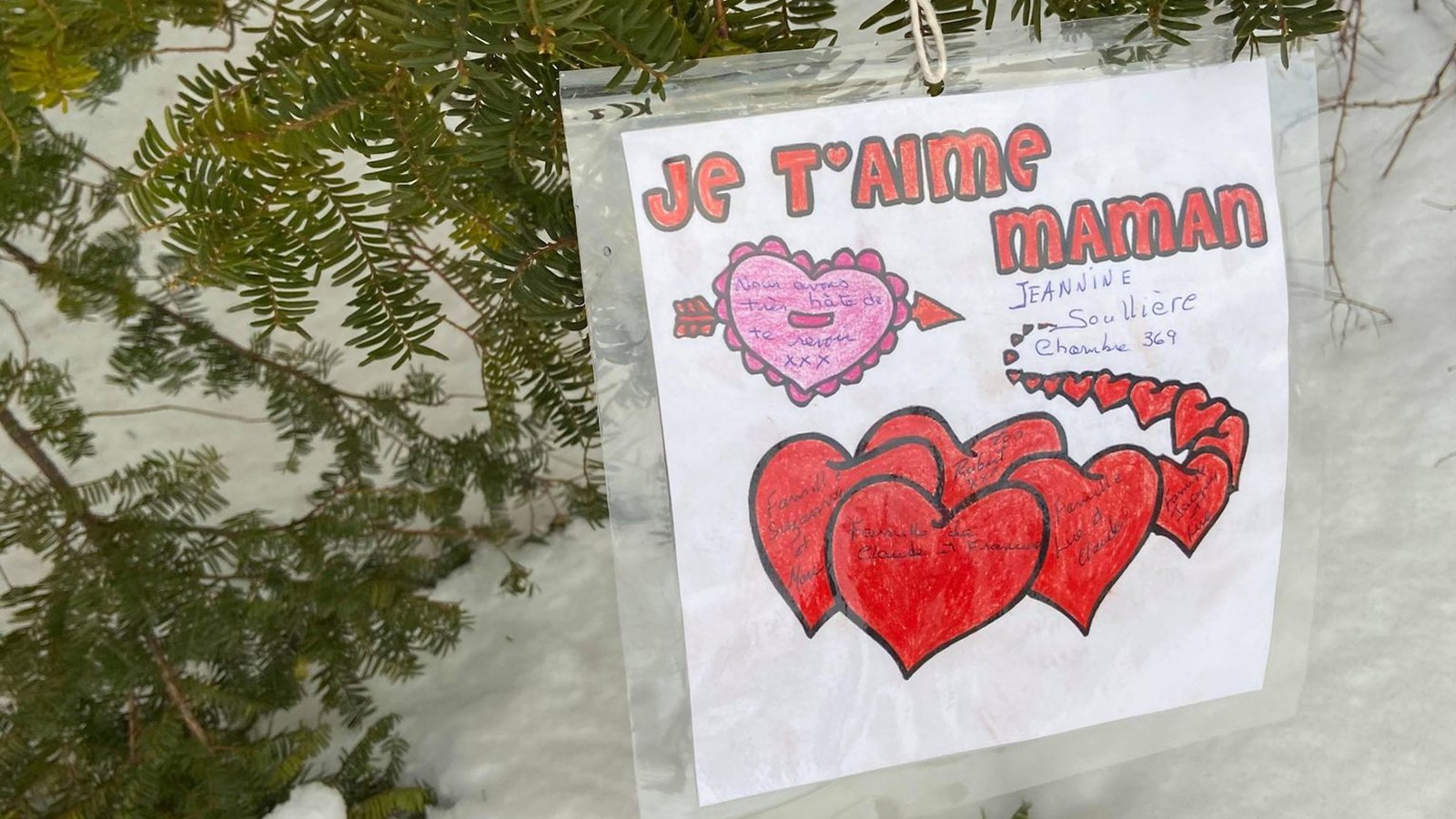 Un arbre du bonheur au CHSLD Docteur Aimé-Leduc