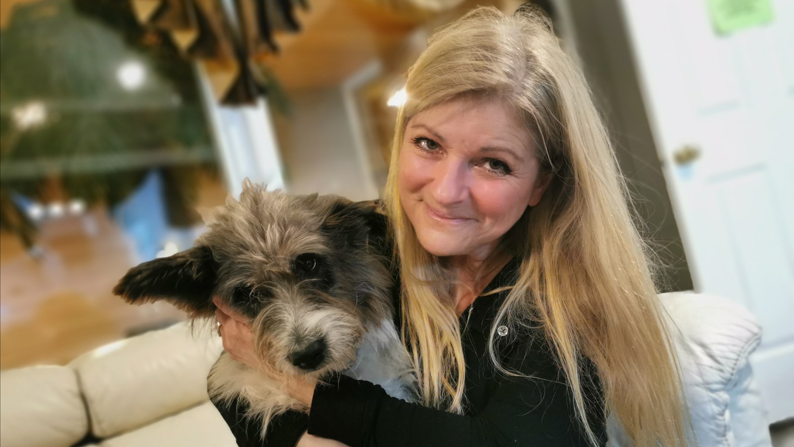 Faire près de 6000 km pour sauver des chiens
