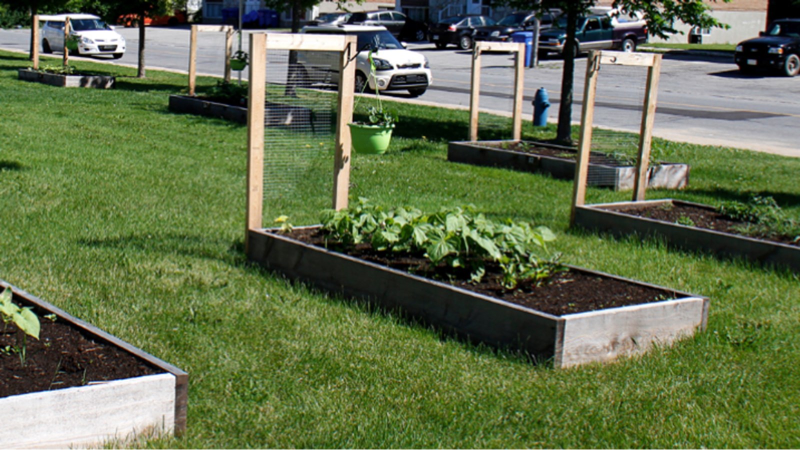 Jardins communautaires: 57 espaces disponibles pour les citoyens de Vaudreuil-Dorion 