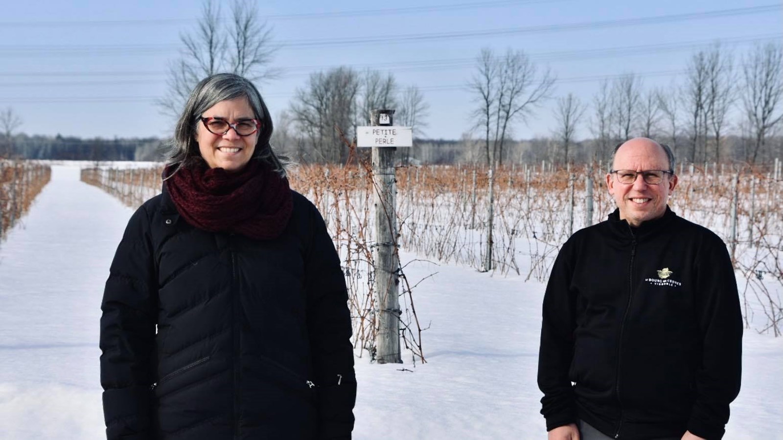 Dans les coulisses … d’un vignoble