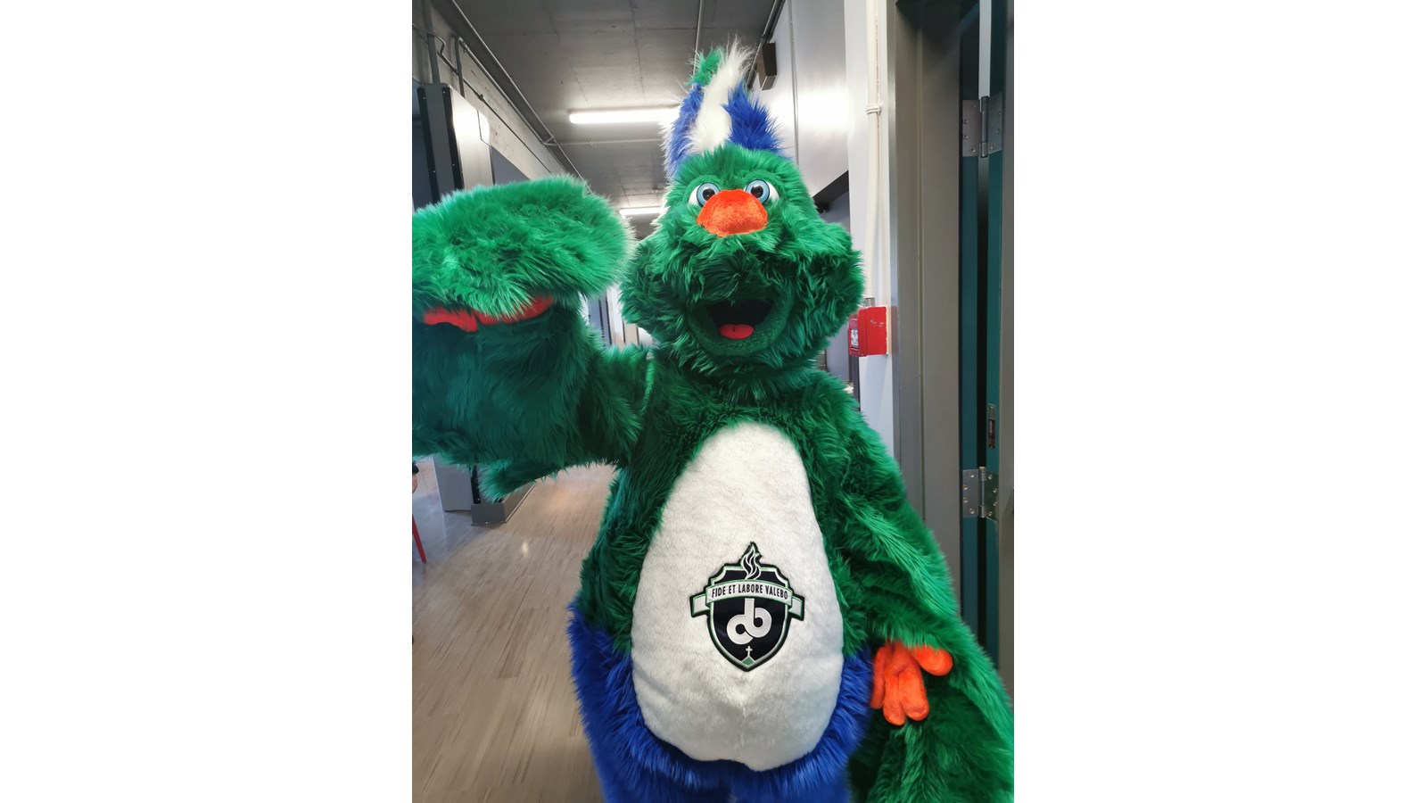 Une nouvelle mascotte pour les Voltigeurs