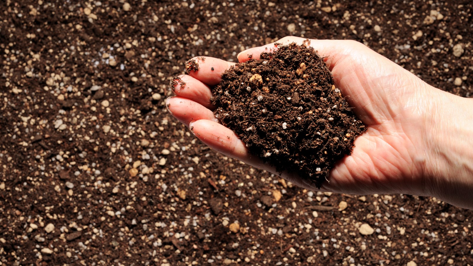 Distribution gratuite de compost à Saint-Étienne-de-Beauharnois
