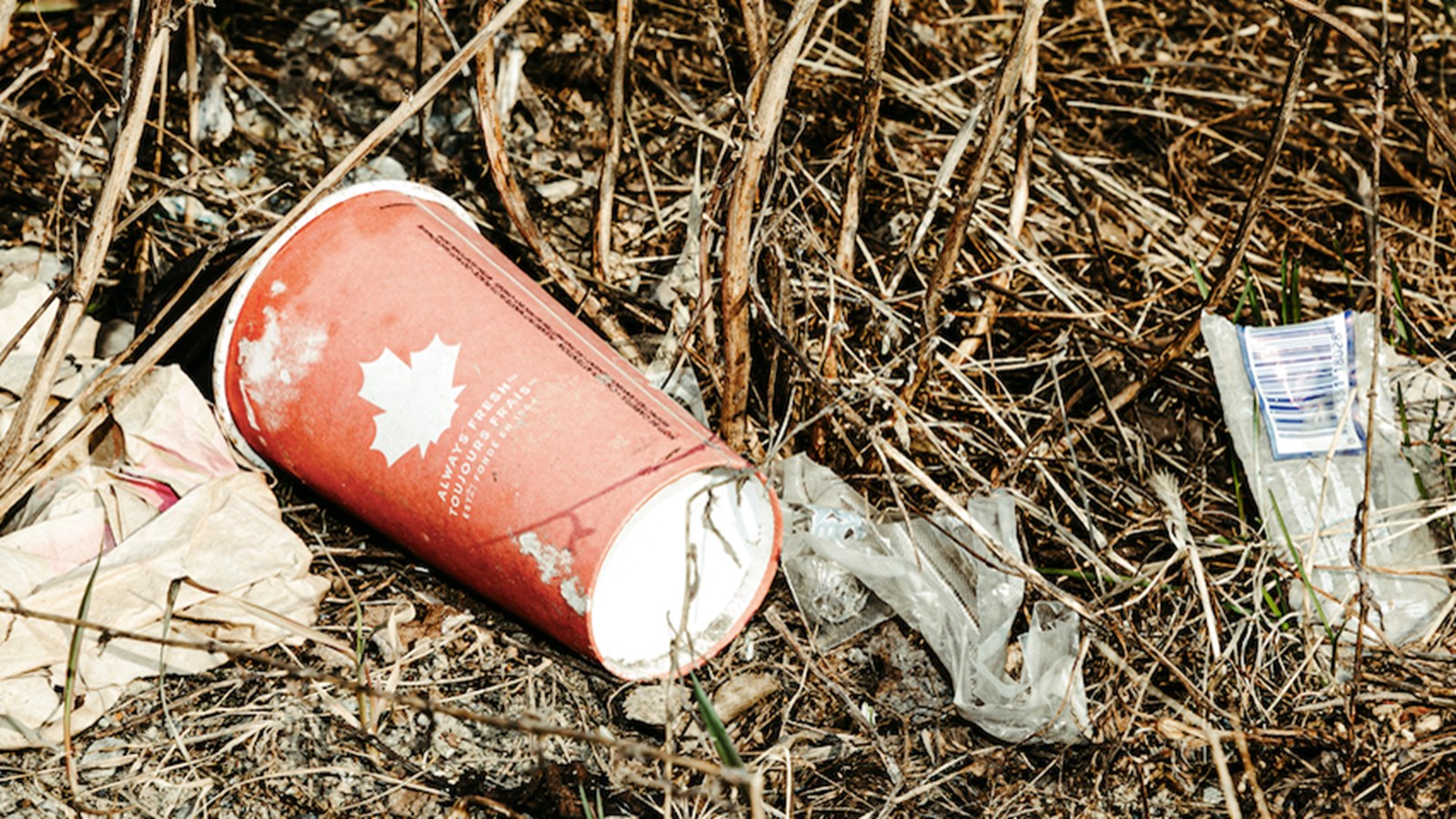 Journée de la Terre: un grand nettoyage s'organise à Salaberry-de-Valleyfield