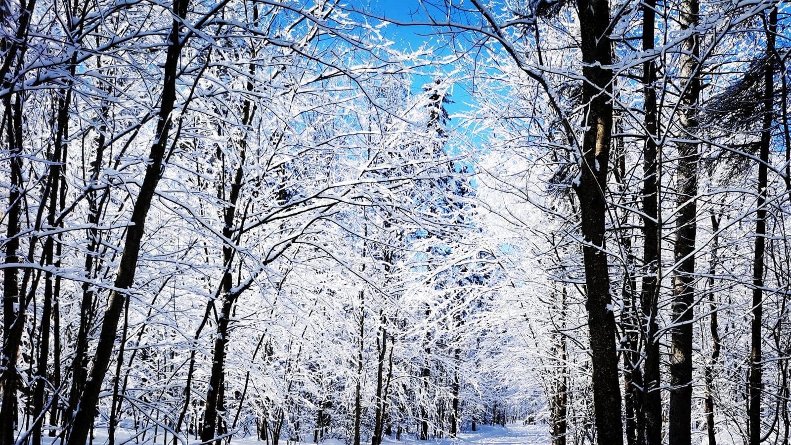 L'hiver n'a pas dit son dernier mot