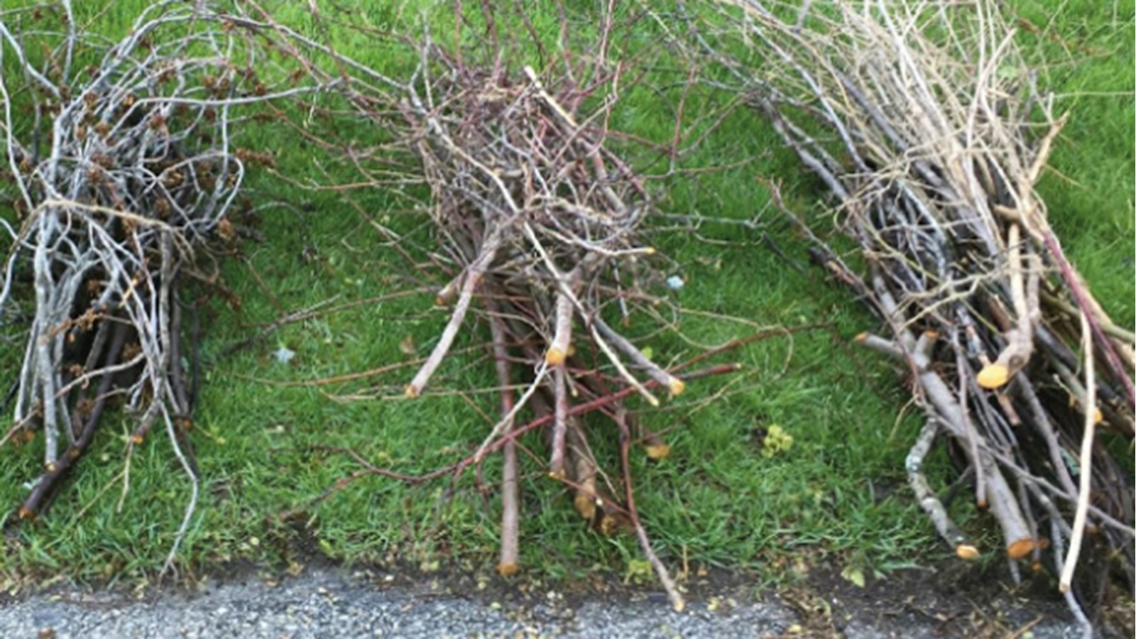 Première collecte de branches de l'année à venir à Sainte-Martine