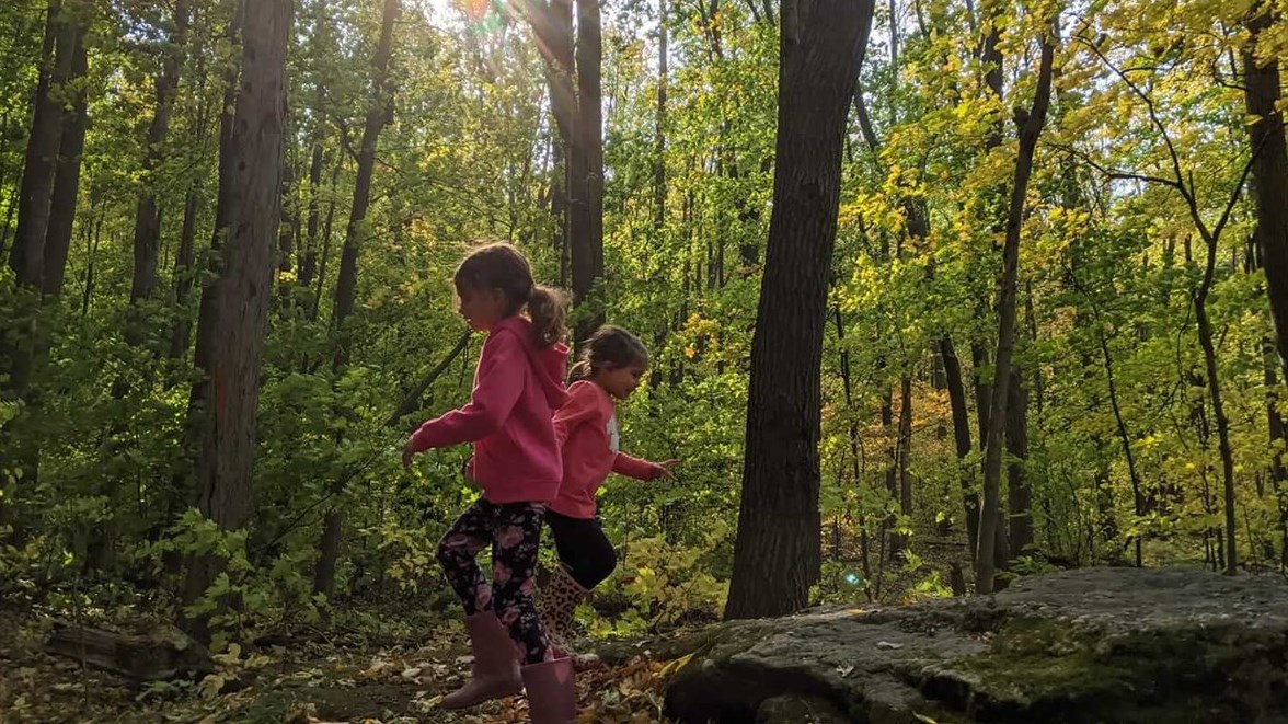 Lancement d'un site Web dédié à la conservation du boisé de Vaudreuil-sur-le-Lac