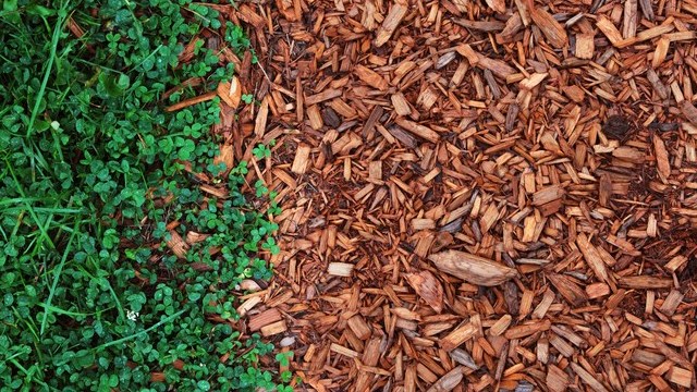 Début des inscriptions pour la Foire horticole de Vaudreuil-Dorion