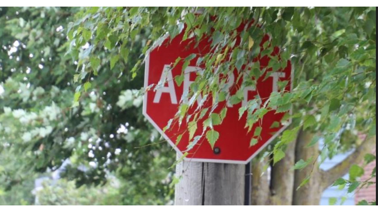Les panneaux de signalisation et les bornes-fontaines doivent être visibles en tout temps