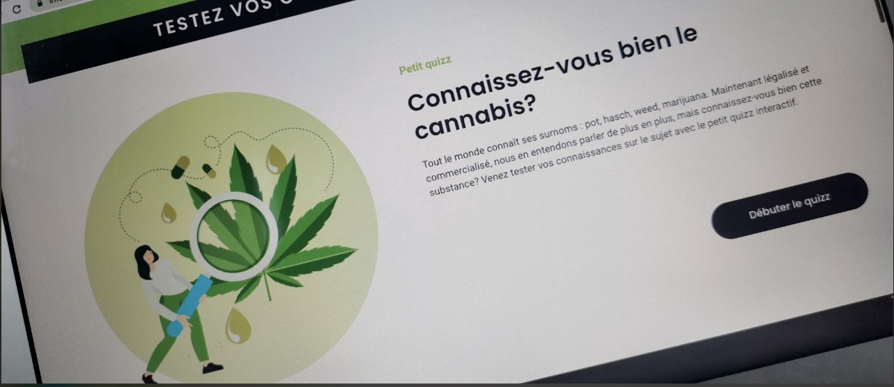 En plus de contenir plusieurs informations pertinentes sur le cannabis, l'onglet du site web de Liberté de choisir sur le projet, permet aux intéressés de tester leurs connaissances sur cette drogue maintenant rendue légale