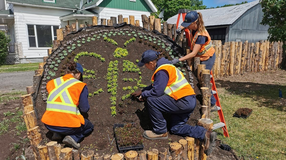 Un aménagement en l'honneur des pollinisateurs