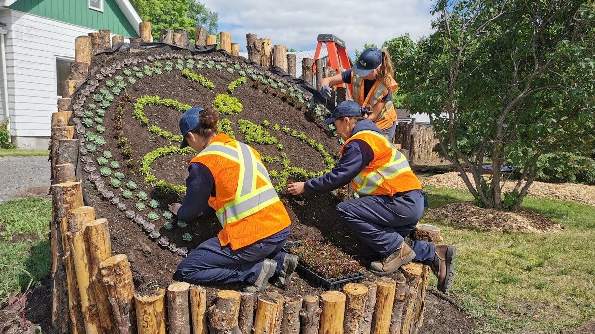Un aménagement en l'honneur des pollinisateurs